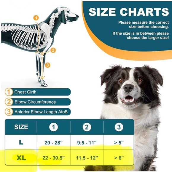 EXTRA LARGE - Dollephi - Dog Elbow Protector for Shoulder & Front Leg - Picture 7 of 7